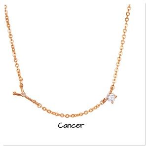 🛑 18K Rose Gold Zodiac Diamond Necklace